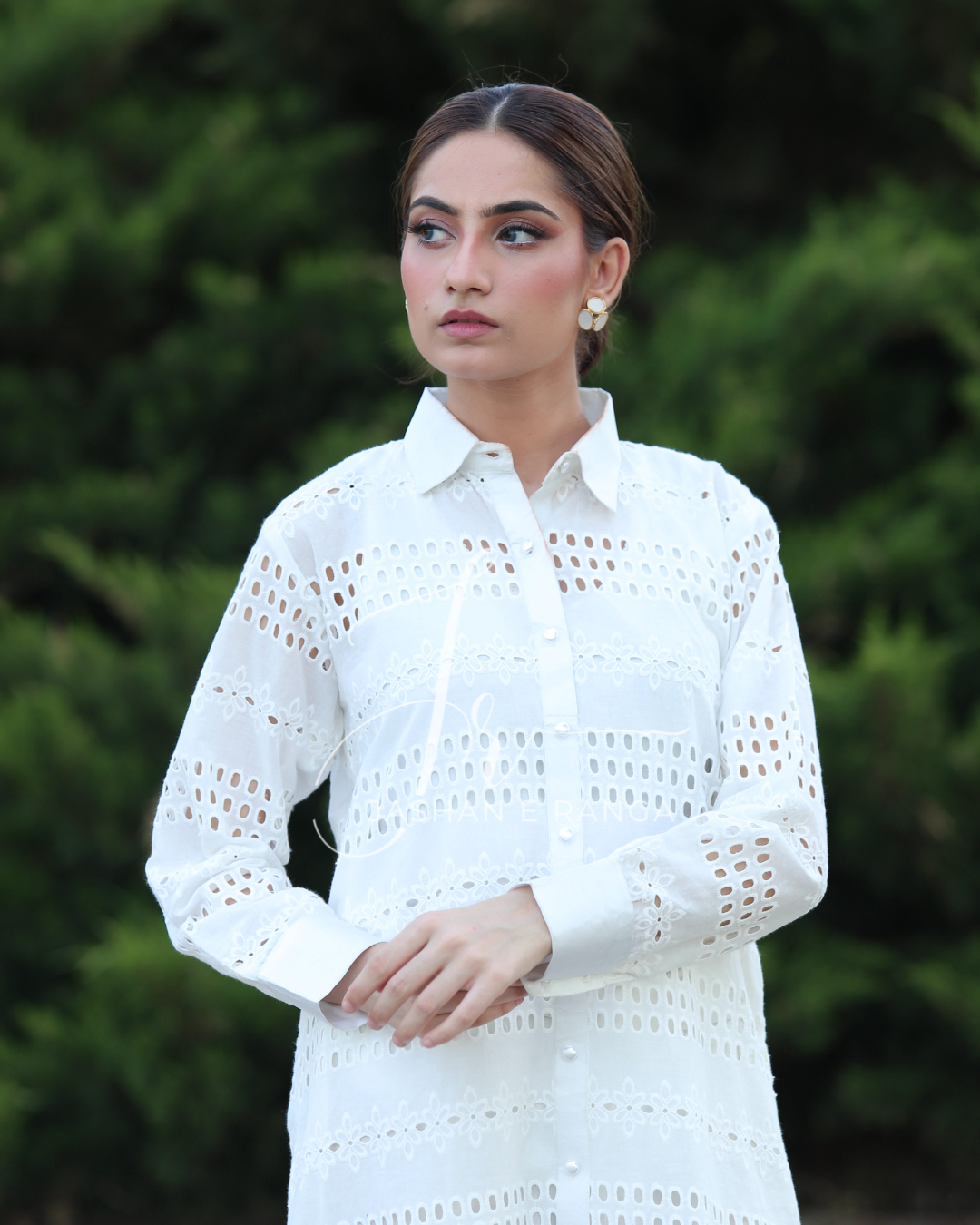 Royal Chikankari Elegance