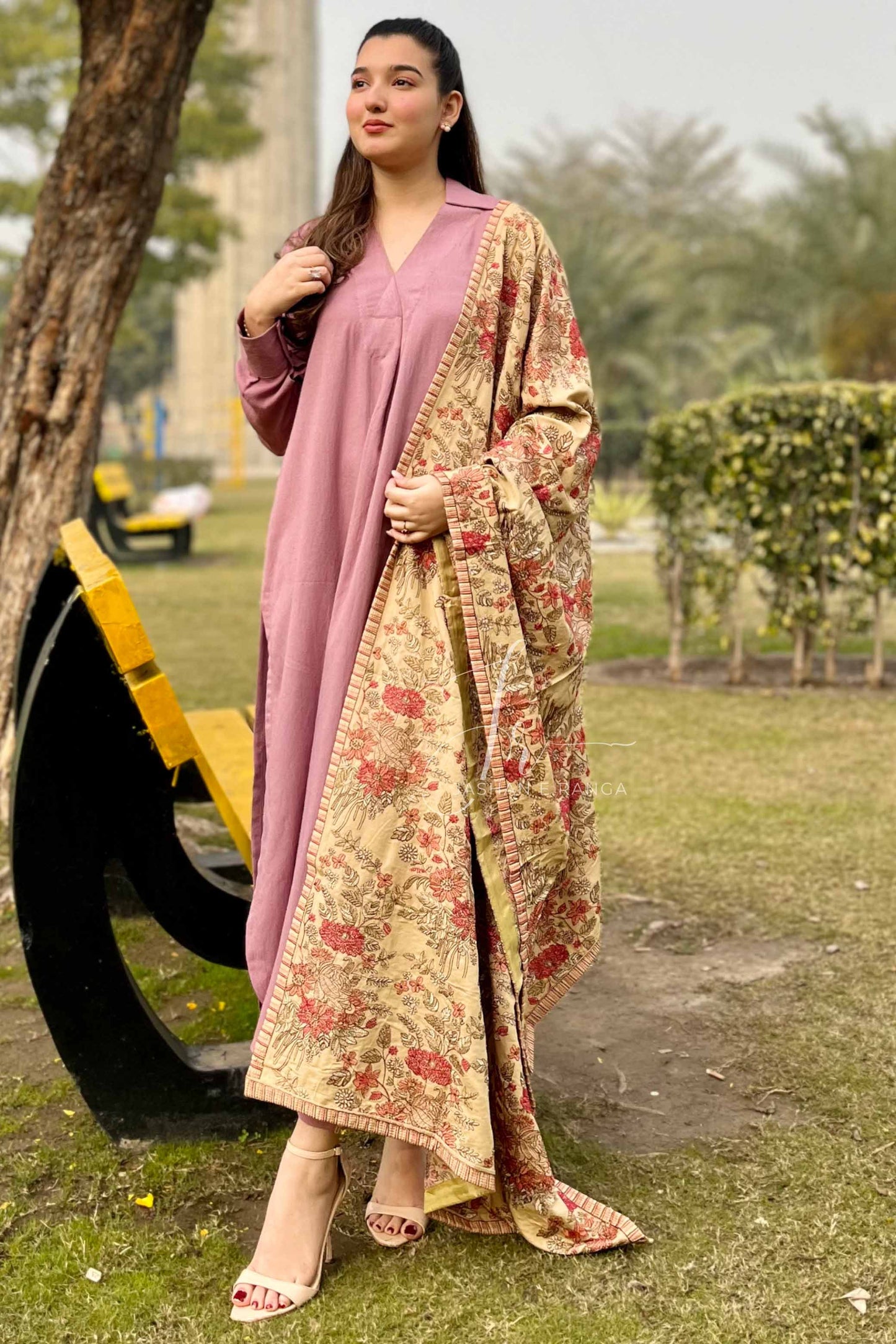 Fully Embroidered Karandi Beige Winter Shawl