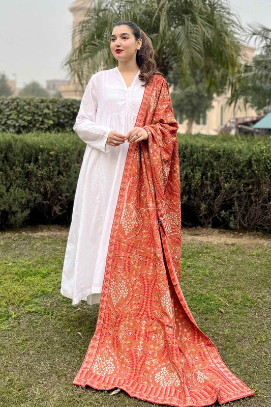 Fashionable Full Embroidered Karandi Shawl